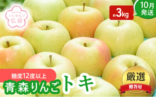 りんご 【 10月発送 】 ( 糖度12度以上 ) 贈答用 トキ 約 3kg 【 弘前市産 青森りんご 】