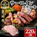 【ふるさと納税】宮崎牛 サーロインステーキ(220g・1枚) 牛肉 肉 ブランド牛 黒毛和牛 お取り寄せ BBQ ステーキ 冷凍 国産 宮崎県 【LJ001】【レグセントジョイラー株式会社】