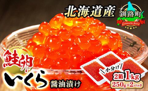 いくら醤油漬け ＜250g×2パック入り 500g＞×2箱 ＜北海道産の鮭卵＞【配送不可地域：離島】