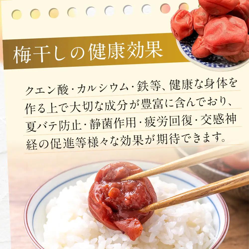 ＜訳あり＞宮城県角田産【無添加】まごころ手作り梅干し1.6kg（800g×2）｜梅干し 田舎の梅干し すっぱい 訳あり 梅干 うめぼし