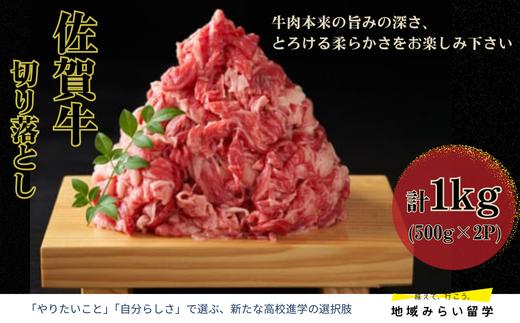 
                  【ミートプラス】佐賀牛 切り落とし 500g×2p 計1kg
                
