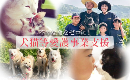 
            【返礼品なし】【犬猫等愛護活動 犬と猫と人にとって住みよい社会づくりを応援】宮崎県 高原町 特定非営利活動法人 咲桃虎(さくもんと) ワンストップオンライン対応 TF3015 TF3015-P00056
          