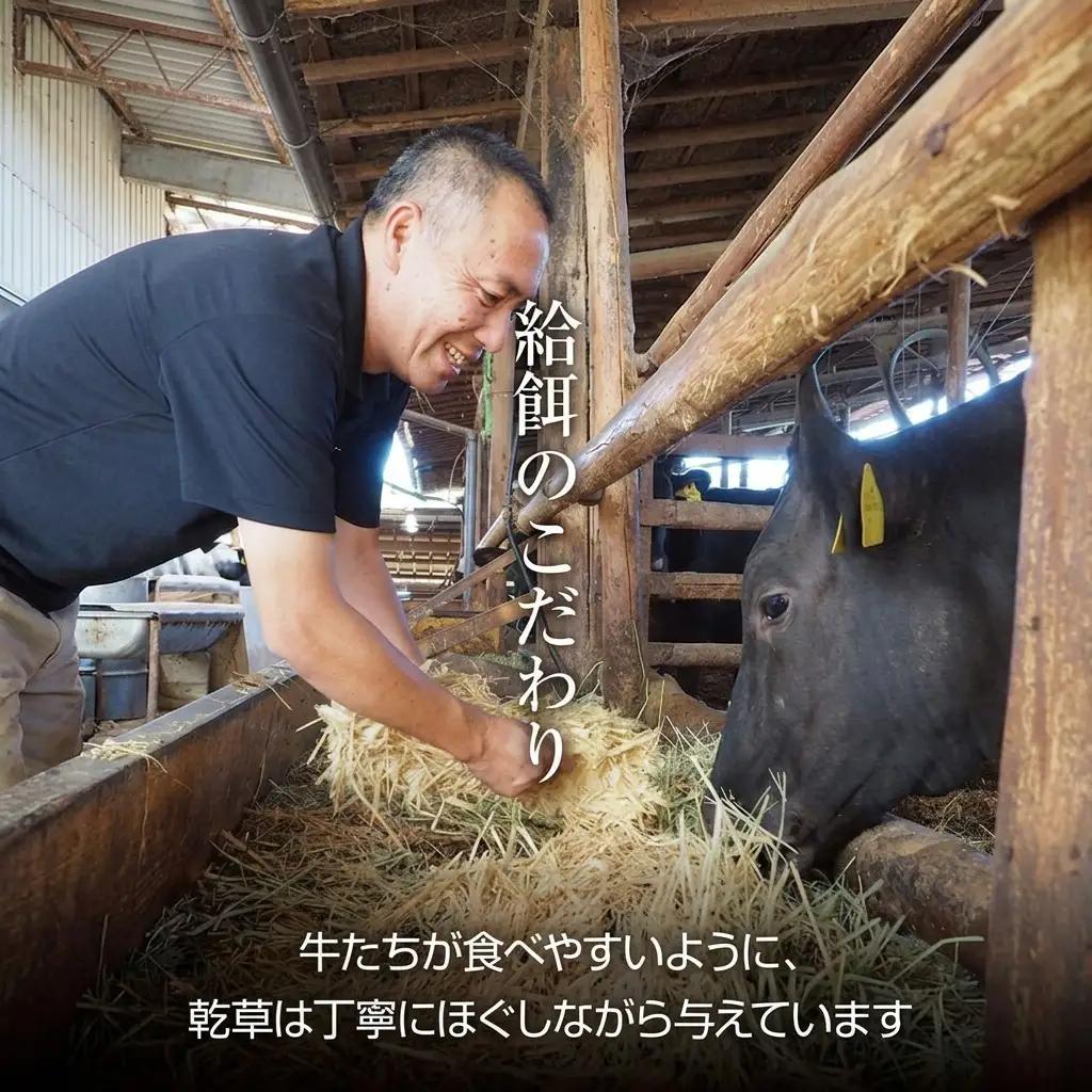 牛肉 京都もり牛 モモ ウデ 牛肉