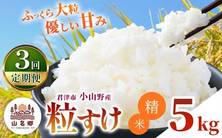 【 定期便 3回 】精米 令和7年産 君津市小山野産 粒すけ 5kg | あかかげ農園