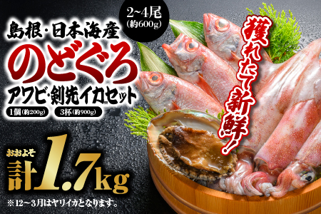 鮮魚セットA 【のどぐろ2～4尾(約600g)・アワビ(約200g×1)・イカ(約300g×3)】計約1.7kg【YM-1】｜のどぐろ アワビ イカ 島根 山陰 日本海産 魚介類 魚貝類 貝 海産物 魚 さかな あわび ノドグロ 鮮魚 剣先イカ ヤリイカ 煮付け 焼き魚 刺身 送料無料 魚 海鮮 のどぐろ あわび アワビ イカ 魚 海鮮 のどぐろ あわび アワビ イカ 魚 海鮮 のどぐろ あわび アワビ イカ｜