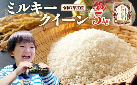 特別栽培米　ミルキークイーン　5kg　令和7年産　雪蔵銀ぴか米　会津　喜多方　【07208-0681】