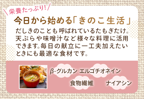 HO09：たもぎ茸　６パック