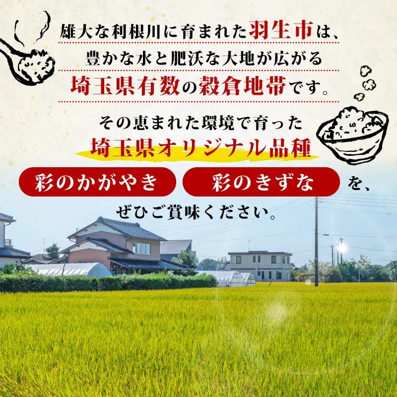 無洗米 彩のきずな 10kg 米 無洗