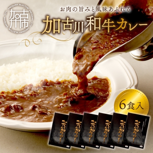 加古川和牛カレー(6食入)《 おすすめ カレー 人気 和牛カレー カレーメシ レトルト おいしい お取り寄せ ギフト 一人暮らし 簡単調理 仕送り 時短 送料無料 》【2401I00302】