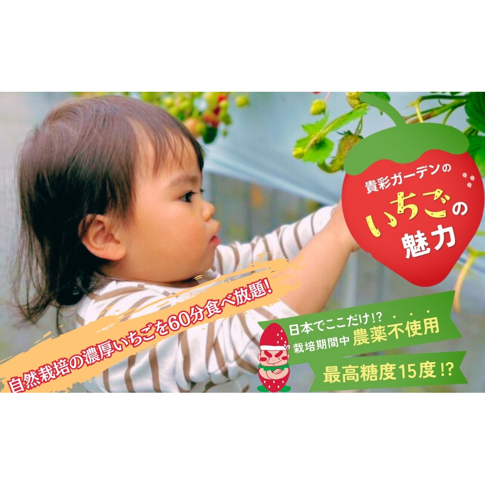 【栽培期間中農薬不使用】貴彩ガーデンいちご狩り体験チケット