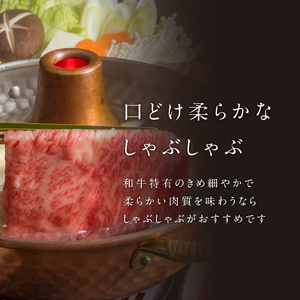 【3回定期便】佐賀牛霜降りスライス 1.2kg ／ 牛肉 定期便【Z120_03】