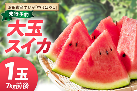 【先行予約】浜田市三隅町産の硬くて歯ごたえのある甘い大玉スイカ1玉（7kg前後）〈7月中旬から発送〉 【113_2064】