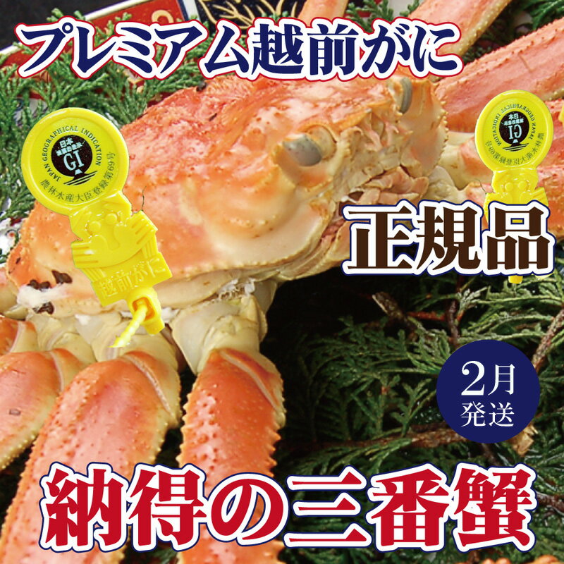 【ふるさと納税】越前がに × 1杯（三番蟹）納得のプレミアム越前がに【雄 ズワイガニ ずわいがに 姿 生 ボイル 冷蔵 福井県】【2月発送分】希望日指定可 備考欄に希望日をご記入ください [e37-x004_02]