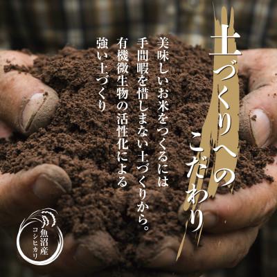 ふるさと納税 十日町市 【のし付き】無洗米  魚沼産 コシヒカリ 5kg×2袋  炊き方ガイド付 |  | 02