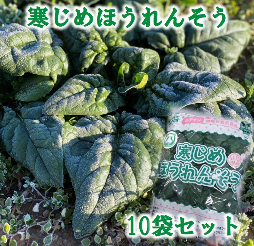 【ふるさと納税】 野菜 ほうれん草 【先行予約】 寒じめほうれんそう 約210g×10袋 旬 ほうれん草 ホウレンソウ サラダ おひたし お味噌汁 産地直送 野菜 葉物 個包装 小分け 冷蔵 【11月下旬頃〜2月下旬発送予定】