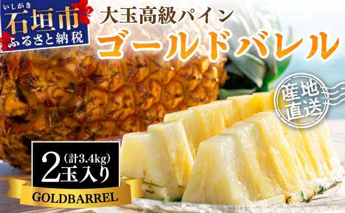 【先行予約】《2025年夏季 順次発送》ゴールドバレルパイン大玉２個入り 計3.4kg　SI-39