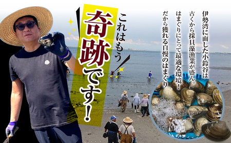 【 奇跡のはまぐり 】小鈴谷産天然はまぐり【 1kg 】 国産 天然 はまぐり 貝 漁協直送 魚貝類 肉厚 日本産 旨味 お祝い お吸い物 大きい 手掘り 潮干狩り 冷蔵便 小鈴谷天然蛤 海の幸 縁起
