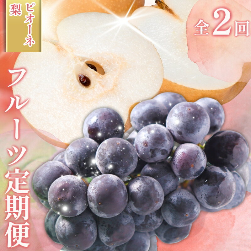 【ふるさと納税】 受付終了まで残り僅か！【全2回 】かつらぎ町産 フルーツ定期便（梨・ピオーネ）フルーツ王国よりお届け♪ / なし ピオーネ ぶどう 種無し たねなし フルーツ 果物 定期便 セット 和歌山 旬 甘い 先行予約 2025