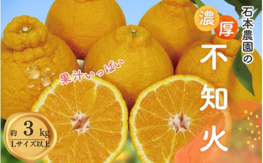 Lサイズ以上 石本農園の不知火3kg【2026年3月初旬から下旬までに順次発送】 / みかん ミカン 蜜柑 不知火 デコポン