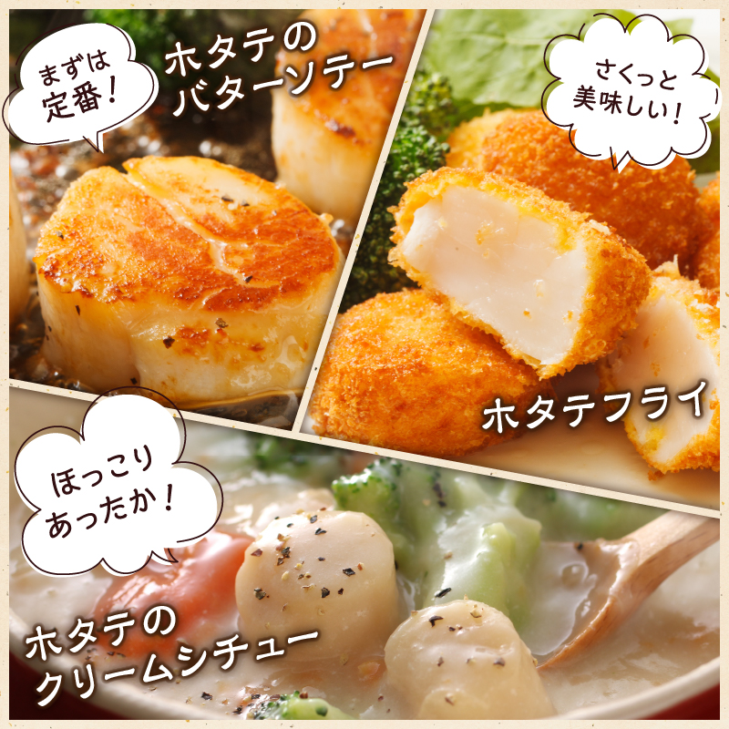 【緊急支援品】北海道産 ほたて貝柱(大)　計600g_H0001-043