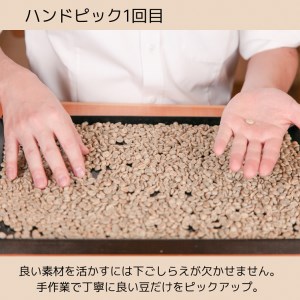 珈琲　自家焙煎　選べる３種×50ｇ／計150ｇ《森ノ本珈琲》（50-55）