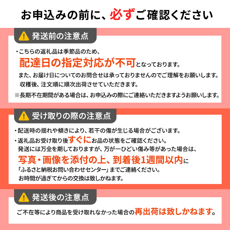 りんご 【3月発送】 家庭用 旬のりんご 品種おまかせ 約 5kg 2品種～4品種