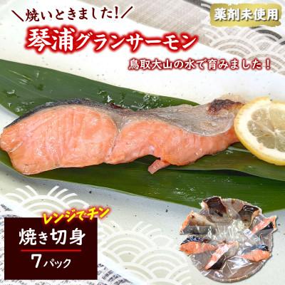 ふるさと納税 琴浦町 国産とっとり琴浦グランサーモン塩焼き7切 不揃いのため訳あり 個包装 レンチン