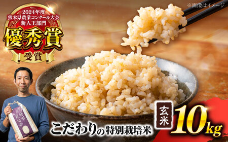 【令和7年度】 くまさんの輝き 玄米 10kg (1袋) 玄米[AYCC002]