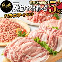 都城産「前田さん家のスウィートポーク」バラエティ5kgセット - 豚肉セット 豚ローススライス(300g)/豚バラスライス(300g)/とんかつ(400g)/切り落とし(500g×7)/ひき肉(500g) 計5キロ 送料無料 AC-8912【宮崎県都城市は令和2年度ふるさと納税日本一！】