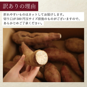 【訳あり】 さつまいも 約 10キロ さつまいも