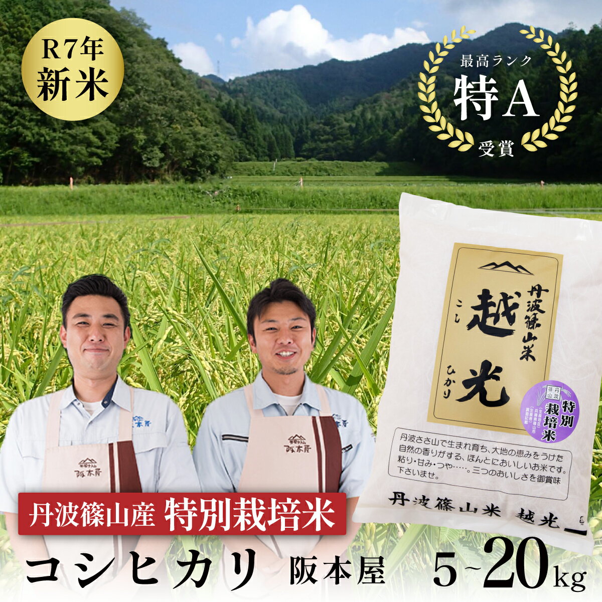 【ふるさと納税】令和7年産 丹波篠山産 特Aランク 特別栽培米 越光 5kg~20kg 5kg 10kg 20kg 小分け | お米 おこめ ブランド米 ごはん ご飯 白米 米 コメ こめ 精米 精白米 ライス おいしい米 美味しいお米 兵庫県 こしひかり コシヒカリ