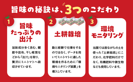 ふるなび限定 グランプリ受賞 完熟 出汁推し実 ミニトマト 1.6kg