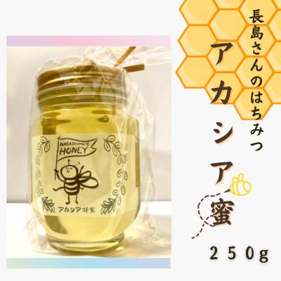 ふるさと納税 城里町 長島さんのはちみつ　アカシア蜜　250g