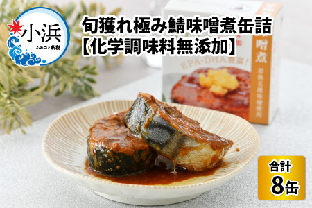 旬獲れ極み鯖味噌煮缶詰  8缶 サバ缶 おつまみ 保存食 [A-003059]