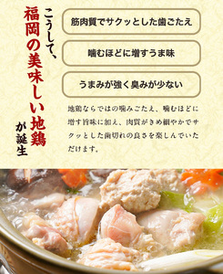 【福岡限定】はかた地どり美人水炊き5種セット 2〜3人前 吉富町/株式会社MEAT PLUS[BGAB007]