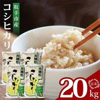 ふるさと納税 取手市 令和7年産取手市産コシヒカリ玄米 計20kg