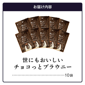 世にもおいしいチョコっとブラウニー　チョコ ブラウニー 濃厚 本格的 オリジナルチョコ チョコチップ サンド チョコレート デザート CS-0004