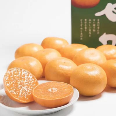 佐賀産 柑橘類 せとか 約1.5kg （4〜7玉） 147-B405