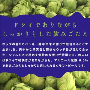 【訳あり・期間限定】クラフトビール 裏通りのドンダバダ 350ml×24本 ヤッホーブルーイング 地ビール 缶 限定品 長野県 佐久市 | 訳あり 訳あり 訳あり 訳あり