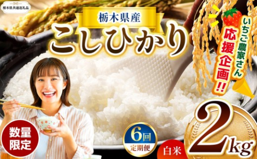【栃木県共通返礼品】【先行予約】【定期6回】 訳あり 数量 限定 定期便 令和8年度 栃木県産 コシヒカリ 約 2kg | 数量限定 こしひかり 精米 白米 米 ごはん おいしい 密閉パック ふるさと納税 那珂川町 栃木県 送料無料