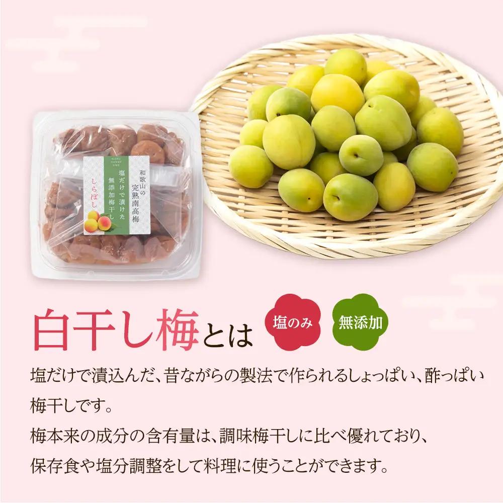 梅干し しらぼし梅 約1.2kg（約400g×3）塩のみ 無添加 大粒 紀州南高梅 塩分約15％ 和歌山県産 [ 定期便 毎月発送・全6回 ]