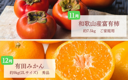 【定期便全6回】夏・秋の新鮮フルーツ定期便【tec-tkb001】