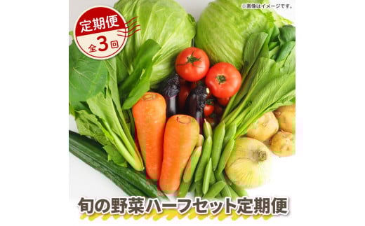 【 全3回定期便 】 野菜 詰め合わせ 産地 直送 6 ~ 8種 減農薬 栽培 旬 採れたて やさい お試し 一人暮らし ふたり暮らし 健康 食材 ハーフセット 静岡県 藤枝市