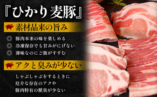 《先行受付～2026年1月中旬より順次発送～》【定期便全3回】ひかり麦豚定期便 ≪月替わりで楽しむ豚肉セット！しゃぶしゃぶ・ロース肉・焼肉セットをお届け！≫ 冷凍 HM-18 | 肉 お肉 にく 豚肉