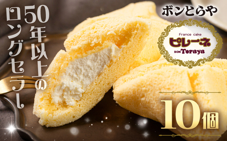 豊橋名物ピレーネ 【バニラ】 10個セット バニラ スイーツ スイーツ 