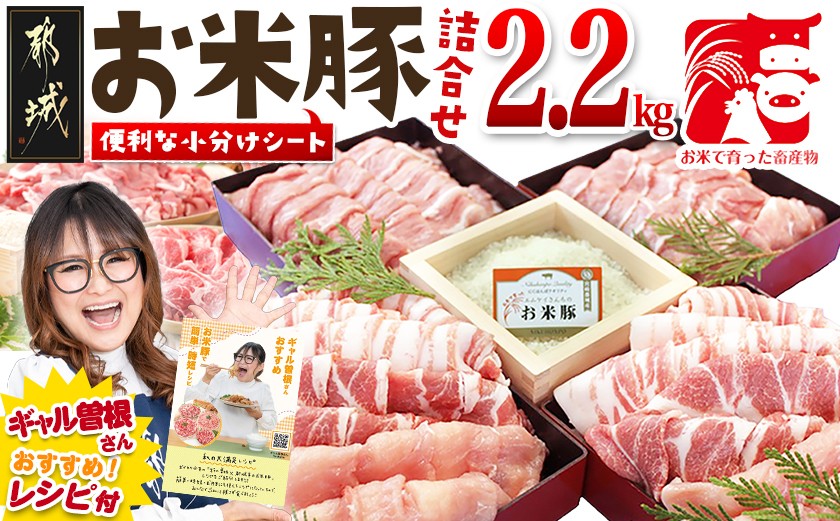 
                  【お届け時期を選べます】お米豚2.2kgセット_14-3101-S2026_(都城市) 豚肉 豚ロース 豚こま切れ 豚バラ肉 豚肩ロース ブランド豚 小分け スライス肉  ギャル曽根さんおすすめの豚肉返礼品
                
