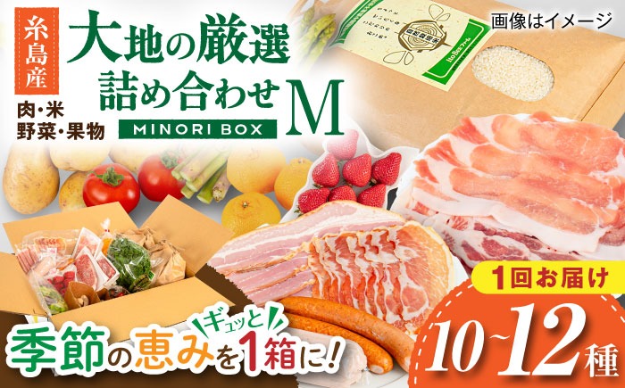 【年内発送】糸島産 肉 米 野菜 果物 厳選詰め合わせ MINORI BOX Mサイズ 糸島市 / emma.Inc / 米 肉 野菜 果物 詰め合わせ[AOP011]