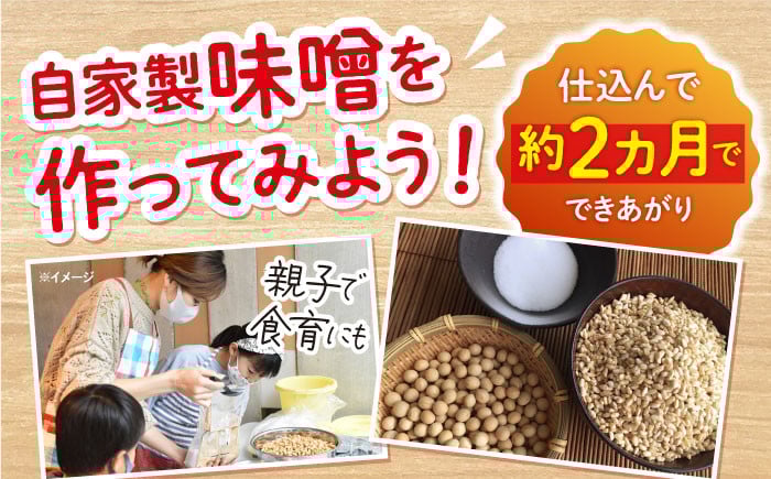 味噌 キット 手作り 自家製味噌 みそ 自由研究 合わせ味噌 あわせ味噌