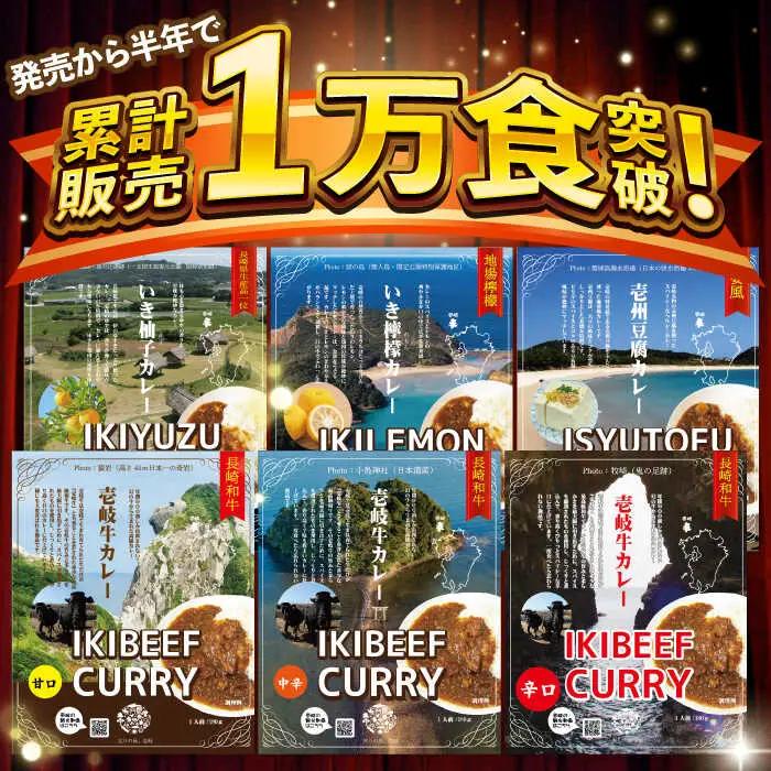 【お中元】壱岐牛カレー中辛づくし《壱岐市》【壱岐フードファクトリー】常温配送 カレー ご当地カレー レトルト 簡単調理 [JDW041]