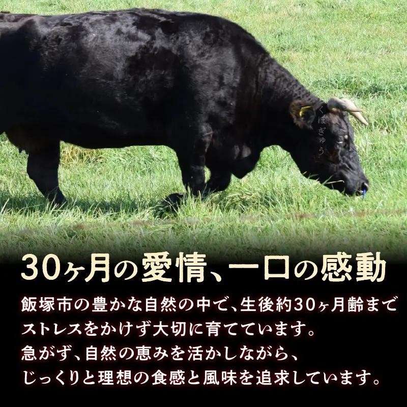 本格黒毛和牛 筑穂牛肩ロース肉すき焼き用 ７００g【E-081】